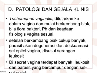 D.  PATOLOGI DAN GEJALA KLINIS
• Trichomonas vaginalis, ditularkan ke 
dalam vagina dan mulai berkembang biak, 
bila flora bakteri, Ph dan keadaan 
fisiologis vagina sesuai.
• setelah berkembang biak cukup banyak, 
parasit akan degenerasi dan deskuamasi 
sel epitel vagina, disusul serangan 
leukosit
• Di secret vagina terdapat banyak  leukosit 
dan parasit yang bercampur dengan sel-
 