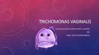 TRICHOMONAS VAGINALIS
COLEGIO DE BACHILLERES PLANTEL COZUMEL
“6B”
FRIDA ROCIO GUZMAN BROCA
 