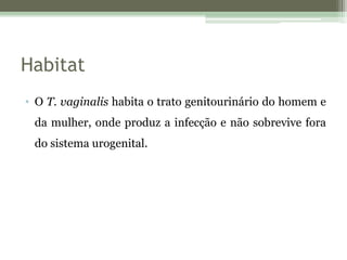 Habitat
• O T. vaginalis habita o trato genitourinário do homem e
da mulher, onde produz a infecção e não sobrevive fora
do sistema urogenital.
 