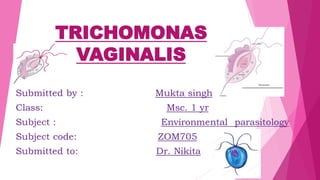 TRICHOMONAS
VAGINALIS
Submitted by : Mukta singh
Class: Msc. 1 yr
Subject : Environmental parasitology
Subject code: ZOM705
Submitted to: Dr. Nikita
 