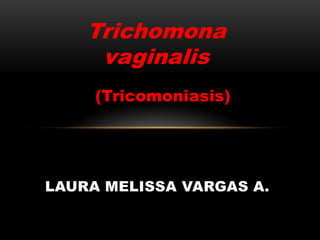 Trichomona
vaginalis
LAURA MELISSA VARGAS A.
(Tricomoniasis)
 