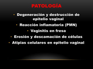 PATOLOGÍA
• Degeneración y destrucción de
epitelio vaginal
• Reacción inflamatoria (PMN)
• Vaginitis en fresa
• Erosión y descamación de células
• Atipias celulares en epitelio vaginal
 
