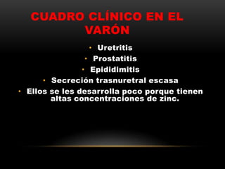CUADRO CLÍNICO EN EL
VARÓN
• Uretritis
• Prostatitis
• Epididimitis
• Secreción trasnuretral escasa
• Ellos se les desarrolla poco porque tienen
altas concentraciones de zinc.
 