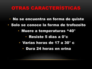 OTRAS CARACTERÍSTICAS
• No se encuentra en forma de quiste
• Solo se conoce la forma de trofozoito
• Muere a temperaturas ^40°
• Resiste 5 días a 0°c
• Varias horas de 17 a 30° c
• Dura 24 horas en orina
 