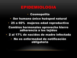 EPIDEMIOLOGIA
• Cosmopolita
• Ser humano único huésped natural
• 25 a 60% mujeres edad reproductiva
Cambios hormonales aprovecha hierro
adherencia a los tejidos
• 2 al 17% de nacidos de madre infectada
• No es enfermedad de notificación
obligatoria
 