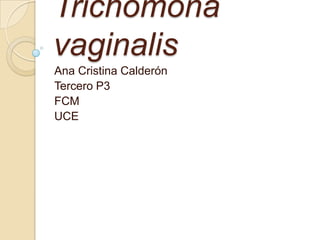 Trichomona
vaginalis
Ana Cristina Calderón
Tercero P3
FCM
UCE
 