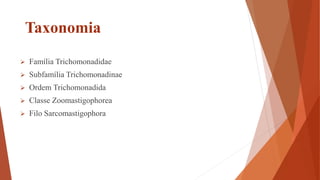 Taxonomia
 Família Trichomonadidae
 Subfamília Trichomonadinae
 Ordem Trichomonadida
 Classe Zoomastigophorea
 Filo Sarcomastigophora
 