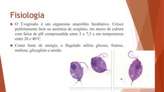 Fisiologia
 O T.vaginalis é um organismo anaeróbio facultativo. Cresce
perfeitamente bem na ausência de oxigênio, em meios de cultura
com faixa de pH compreendida entre 5 e 7,5 e em temperaturas
entre 20 e 40°C.
 Como fonte de energia, o flagelado utiliza glicose, frutose,
maltose, glicogênio e amido.
 
