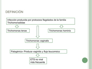 DEFINICIÓN

 Infección producida por protozoos flagelados de la familia
 Trichomonadidae


 Trichomonas tenax                         Trichomonas hominis



                   Trichomonas vaginalis



    Patogénico- Produce vaginitis y flujo leucorreico


                       ETS no viral
                       más frecuente
 