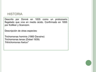 HISTORIA
Descrito por Donné en 1835 como un protozoario
flagelado que vive en medio ácido. Confirmado en 1855
por Kolliker y Scanzoni.

Descripción de otras especies:

Trichomonas hominis (1860 Davaine)
Trichomonas tenax (Dobel 1939)
Tritrichomonas foetus*
 
