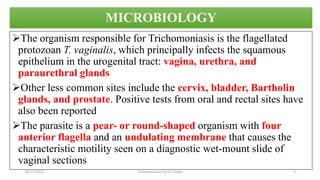 MICROBIOLOGY
The organism responsible for Trichomoniasis is the flagellated
protozoan T. vaginalis, which principally infects the squamous
epithelium in the urogenital tract: vagina, urethra, and
paraurethral glands
Other less common sites include the cervix, bladder, Bartholin
glands, and prostate. Positive tests from oral and rectal sites have
also been reported
The parasite is a pear- or round-shaped organism with four
anterior flagella and an undulating membrane that causes the
characteristic motility seen on a diagnostic wet-mount slide of
vaginal sections
10/17/2023 Trichomoniasis by Dr. Elioba 5
 