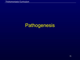 15
Pathogenesis
Trichomoniasis Curriculum
 