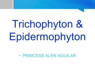 Trichophyton &
Epidermophyton
• PRINCESS ALEN AGUILAR

 