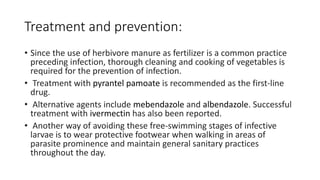 Treatment and prevention:
• Since the use of herbivore manure as fertilizer is a common practice
preceding infection, thorough cleaning and cooking of vegetables is
required for the prevention of infection.
• Treatment with pyrantel pamoate is recommended as the first-line
drug.
• Alternative agents include mebendazole and albendazole. Successful
treatment with ivermectin has also been reported.
• Another way of avoiding these free-swimming stages of infective
larvae is to wear protective footwear when walking in areas of
parasite prominence and maintain general sanitary practices
throughout the day.
 