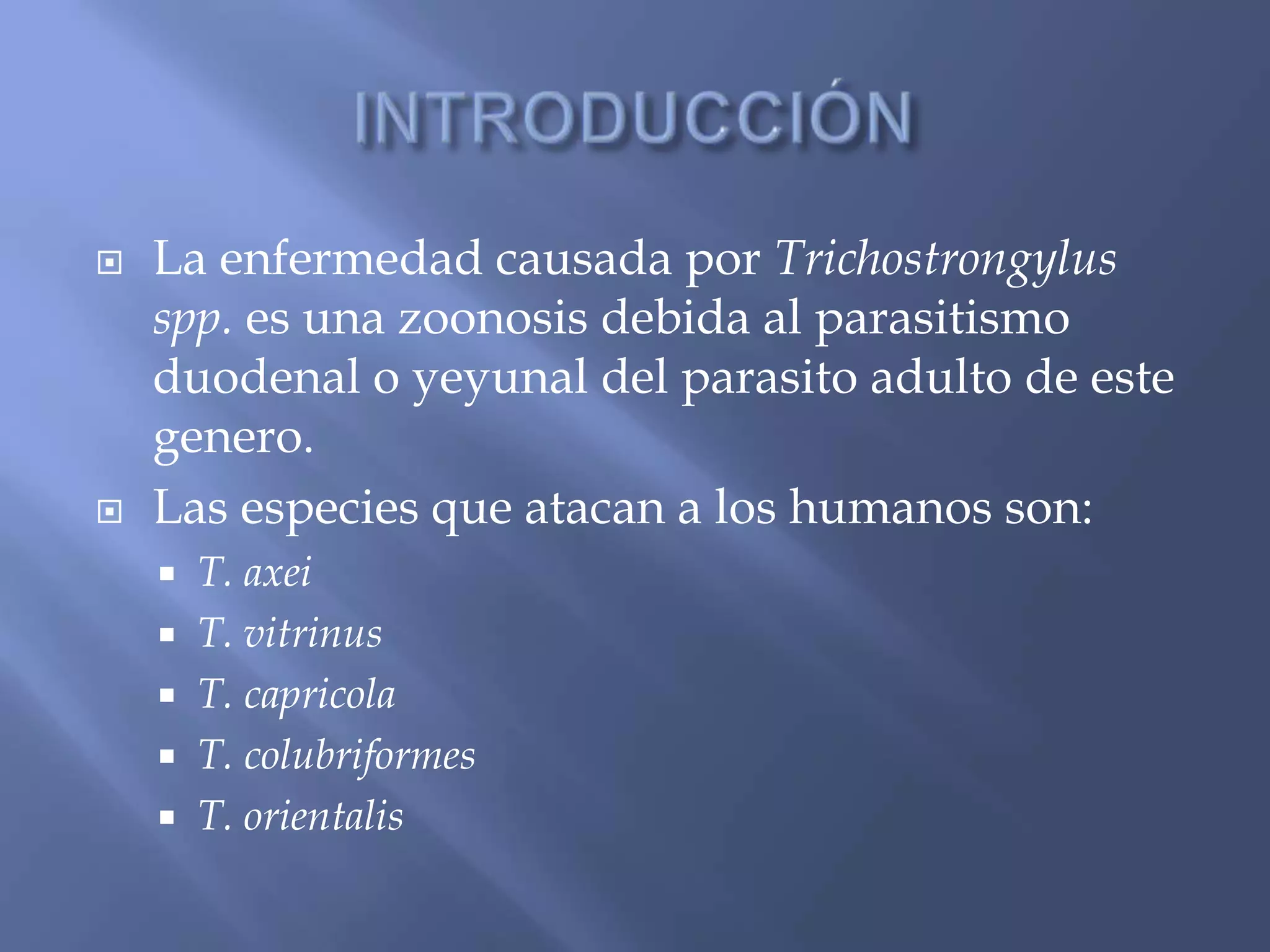  La enfermedad causada por Trichostrongylus
spp. es una zoonosis debida al parasitismo
duodenal o yeyunal del parasito adulto de este
genero.
 Las especies que atacan a los humanos son:
 T. axei
 T. vitrinus
 T. capricola
 T. colubriformes
 T. orientalis
 