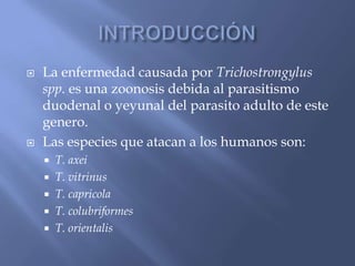 Trichostrongylus sp. | PPTX