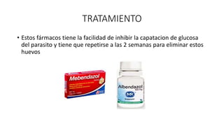 TRATAMIENTO
• Estos fármacos tiene la facilidad de inhibir la capatacion de glucosa
del parasito y tiene que repetirse a las 2 semanas para eliminar estos
huevos
 