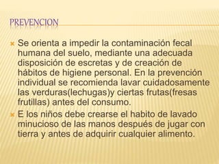 PREVENCION
 Se orienta a impedir la contaminación fecal
humana del suelo, mediante una adecuada
disposición de escretas y de creación de
hábitos de higiene personal. En la prevención
individual se recomienda lavar cuidadosamente
las verduras(lechugas)y ciertas frutas(fresas
frutillas) antes del consumo.
 E los niños debe crearse el habito de lavado
minucioso de las manos después de jugar con
tierra y antes de adquirir cualquier alimento.
 