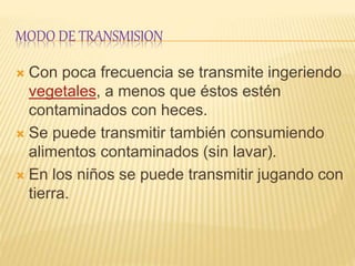 MODO DE TRANSMISION
 Con poca frecuencia se transmite ingeriendo
vegetales, a menos que éstos estén
contaminados con heces.
 Se puede transmitir también consumiendo
alimentos contaminados (sin lavar).
 En los niños se puede transmitir jugando con
tierra.
 