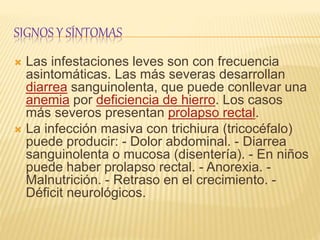 SIGNOS Y SÍNTOMAS
 Las infestaciones leves son con frecuencia
asintomáticas. Las más severas desarrollan
diarrea sanguinolenta, que puede conllevar una
anemia por deficiencia de hierro. Los casos
más severos presentan prolapso rectal.
 La infección masiva con trichiura (tricocéfalo)
puede producir: - Dolor abdominal. - Diarrea
sanguinolenta o mucosa (disentería). - En niños
puede haber prolapso rectal. - Anorexia. -
Malnutrición. - Retraso en el crecimiento. -
Déficit neurológicos.
 