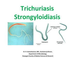 Trichuriasis
Strongyloidiasis
Dr. R. Someshwaran, MD., Assistant professor,
Department of Microbiology,
Karpagam faculty of Medical Sciences & Research
 