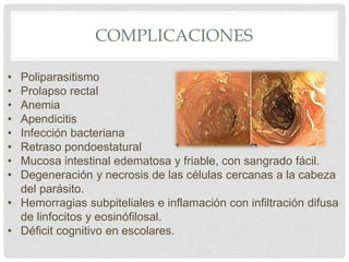 COMPLICACIONES
• Poliparasitismo
• Prolapso rectal
• Anemia
• Apendicitis
• Infección bacteriana
• Retraso pondoestatural
• Mucosa intestinal edematosa y friable, con sangrado fácil.
• Degeneración y necrosis de las células cercanas a la cabeza
del parásito.
• Hemorragias subpiteliales e inflamación con infiltración difusa
de linfocitos y eosinófilosal.
• Déficit cognitivo en escolares.
 