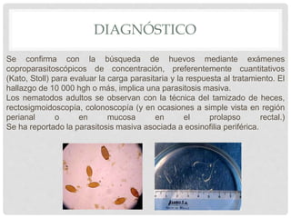 DIAGNÓSTICO
Se confirma con la búsqueda de huevos mediante exámenes
coproparasitoscópicos de concentración, preferentemente cuantitativos
(Kato, Stoll) para evaluar la carga parasitaria y la respuesta al tratamiento. El
hallazgo de 10 000 hgh o más, implica una parasitosis masiva.
Los nematodos adultos se observan con la técnica del tamizado de heces,
rectosigmoidoscopía, colonoscopía (y en ocasiones a simple vista en región
perianal o en mucosa en el prolapso rectal.)
Se ha reportado la parasitosis masiva asociada a eosinofilia periférica.
 