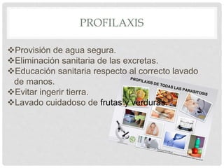 PROFILAXIS
Provisión de agua segura.
Eliminación sanitaria de las excretas.
Educación sanitaria respecto al correcto lavado
de manos.
Evitar ingerir tierra.
Lavado cuidadoso de frutas y verduras.
 