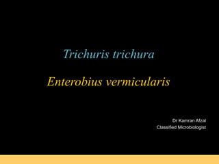 B.E Pruitt & Jane J. Stein
Trichuris trichura
Enterobius vermicularis
Dr Kamran Afzal
Classified Microbiologist
 