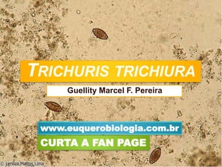 TRICHURIS TRICHIURA
Guellity Marcel F. Pereira
www.euquerobiologia.com.br
CURTA A FAN PAGE
 