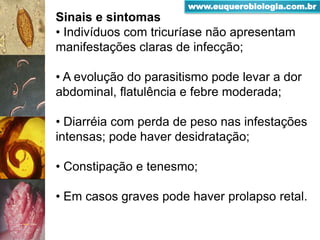 Sinais e sintomas
• Indivíduos com tricuríase não apresentam
manifestações claras de infecção;
• A evolução do parasitismo pode levar a dor
abdominal, flatulência e febre moderada;
• Diarréia com perda de peso nas infestações
intensas; pode haver desidratação;
• Constipação e tenesmo;
• Em casos graves pode haver prolapso retal.
www.euquerobiologia.com.br
 