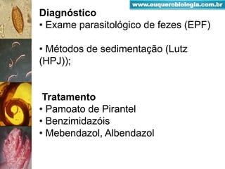 Diagnóstico
• Exame parasitológico de fezes (EPF)
• Métodos de sedimentação (Lutz
(HPJ));
Tratamento
• Pamoato de Pirantel
• Benzimidazóis
• Mebendazol, Albendazol
www.euquerobiologia.com.br
 