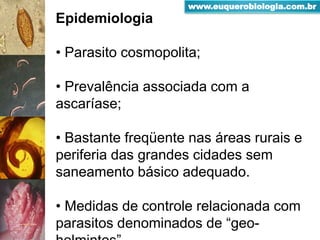 Epidemiologia
• Parasito cosmopolita;
• Prevalência associada com a
ascaríase;
• Bastante freqüente nas áreas rurais e
periferia das grandes cidades sem
saneamento básico adequado.
• Medidas de controle relacionada com
parasitos denominados de “geo-
www.euquerobiologia.com.br
 
