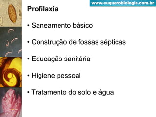 Profilaxia
• Saneamento básico
• Construção de fossas sépticas
• Educação sanitária
• Higiene pessoal
• Tratamento do solo e água
www.euquerobiologia.com.br
 