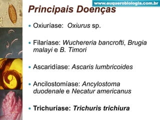  Oxiuríase: Oxiurus sp.
 Filaríase: Wuchereria bancrofti, Brugia
malayi e B. Timori
 Ascaridíase: Ascaris lumbricoides
 Ancilostomíase: Ancylostoma
duodenale e Necatur americanus
 Trichuríase: Trichuris trichiura
Principais Doenças
www.euquerobiologia.com.br
 