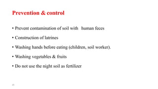 20
Prevention & control
• Prevent contamination of soil with human feces
• Construction of latrines
• Washing hands before eating (children, soil worker).
• Washing vegetables & fruits
• Do not use the night soil as fertilizer
 