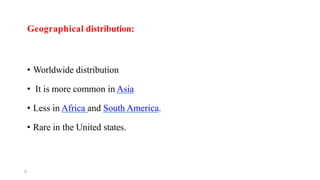5
Geographical distribution:
• Worldwide distribution
• It is more common in Asia
• Less in Africa and South America.
• Rare in the United states.
 
