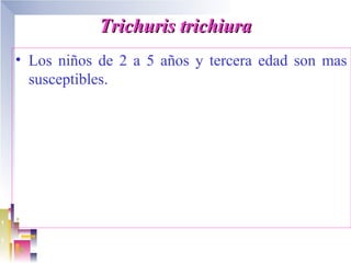 Trichuris trichiura
• Los niños de 2 a 5 años y tercera edad son mas
  susceptibles.
 