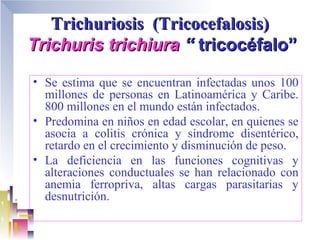 Trichuriosis (Tricocefalosis)
Trichuris trichiura “ tricocéfalo”
• Se estima que se encuentran infectadas unos 100
  millones de personas en Latinoamérica y Caribe.
  800 millones en el mundo están infectados.
• Predomina en niños en edad escolar, en quienes se
  asocia a colitis crónica y síndrome disentérico,
  retardo en el crecimiento y disminución de peso.
• La deficiencia en las funciones cognitivas y
  alteraciones conductuales se han relacionado con
  anemia ferropriva, altas cargas parasitarias y
  desnutrición.
 