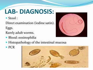 LAB- DIAGNOSIS:
 Stool :
Direct examination (iodine satin).
Eggs.
Rarely adult worms.
 Blood: eosinophilia
 Histopathology of the intestinal mucosa
 PCR
 
