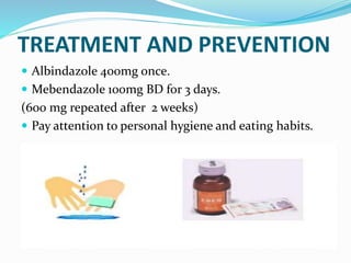 TREATMENT AND PREVENTION
 Albindazole 400mg once.
 Mebendazole 100mg BD for 3 days.
(600 mg repeated after 2 weeks)
 Pay attention to personal hygiene and eating habits.
 