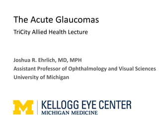 The Acute Glaucomas
TriCity Allied Health Lecture
Joshua R. Ehrlich, MD, MPH
Assistant Professor of Ophthalmology and Visual Sciences
University of Michigan
 