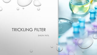 TRICKLING FILTER
SHILPA PATIL
 