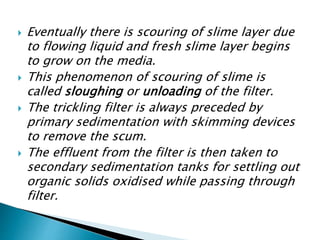  Eventually there is scouring of slime layer due
to flowing liquid and fresh slime layer begins
to grow on the media.
 This phenomenon of scouring of slime is
called sloughing or unloading of the filter.
 The trickling filter is always preceded by
primary sedimentation with skimming devices
to remove the scum.
 The effluent from the filter is then taken to
secondary sedimentation tanks for settling out
organic solids oxidised while passing through
filter.
 