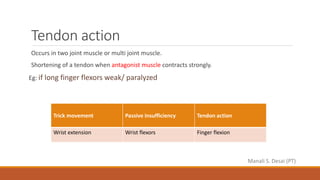 Manali S. Desai (PT)
Tendon action
Occurs in two joint muscle or multi joint muscle.
Shortening of a tendon when antagonist muscle contracts strongly.
Eg: if long finger flexors weak/ paralyzed
Trick movement Passive insufficiency Tendon action
Wrist extension Wrist flexors Finger flexion
 