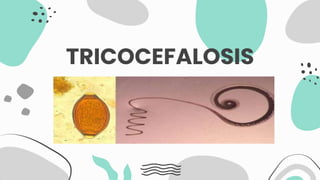 TRICOCEFALOSIS
 