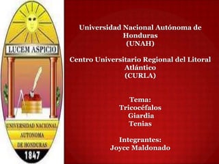 Universidad Nacional Autónoma de
Honduras
(UNAH)
Centro Universitario Regional del Litoral
Atlántico
(CURLA)
Tema:
Tricocéfalos
Giardia
Tenias
Integrantes:
Joyce Maldonado
 