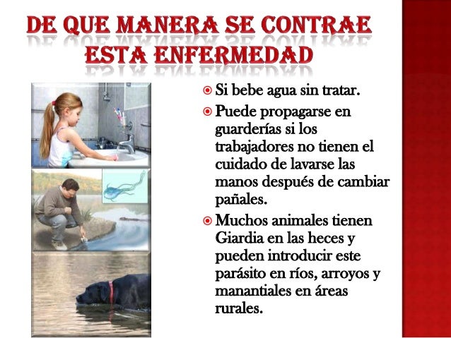 El tratamiento y la profiláctica contra las lombrices a los niños y los adultos