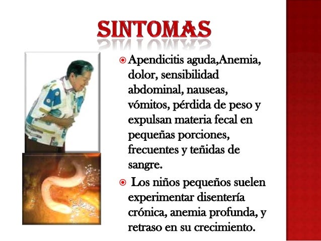 Tricocefalos