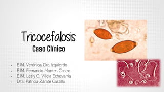 Tricocefalosis
Caso Clínico
• E.M. Verónica Cira Izquierdo
• E.M. Fernando Montes Castro
• E.M. Lesly C. Villela Echevarria
• Dra. Patricia Zárate Castillo
 